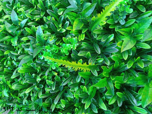 گرین وال فارست 50*50 سانتیمتر کد 9112