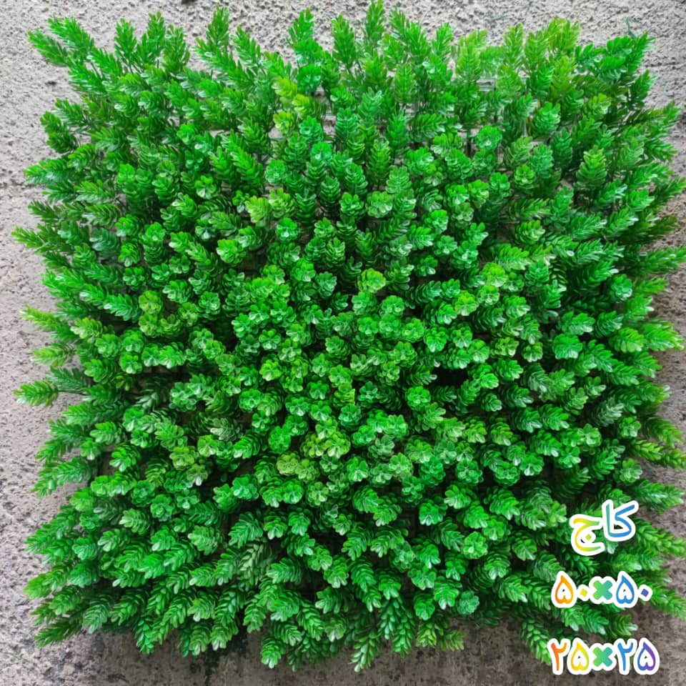 گرین وال کاج 50*50 سانتیمتر کد 9116
