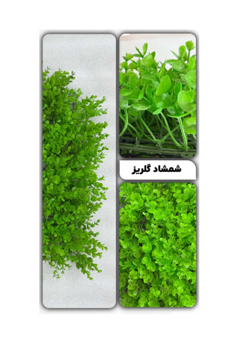 گرین وال شمشاد گلریز 50*50 سانتیمتر کد 9113