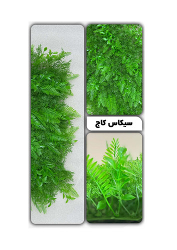 گرین وال سیکاس کاج 50*50 سانتیمتر کد 9113