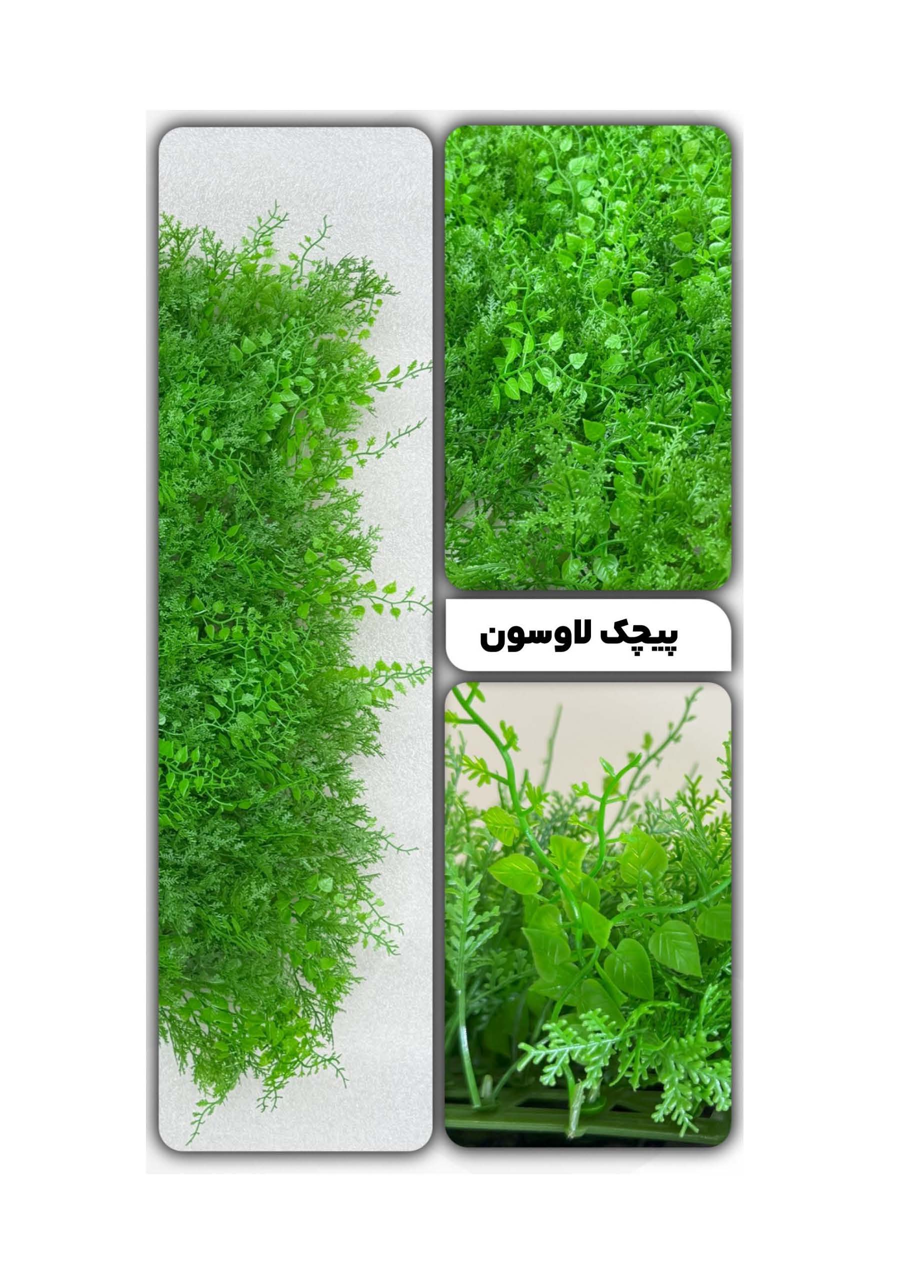 گرین وال پیچک لاوسون 50*50 سانتیمتر کد 9118